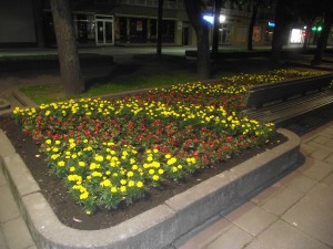 Kaunas pavasarį
