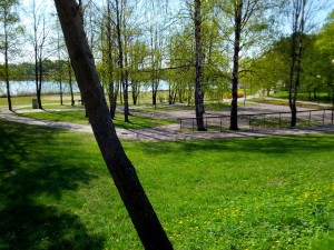 IMG_20190430_102209